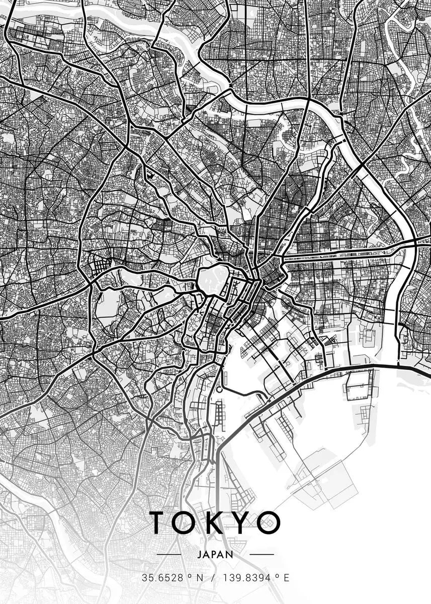 Poster Carte Ville Noir et Blanc Paris New York